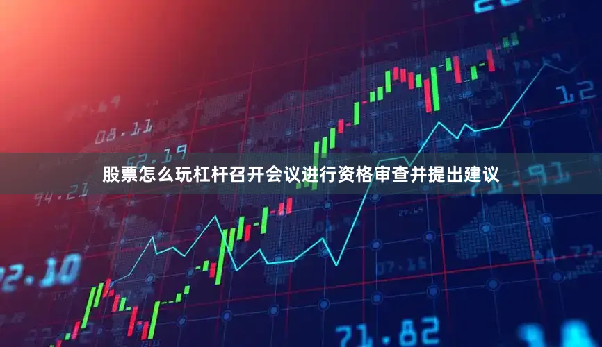 股票怎么玩杠杆召开会议进行资格审查并提出建议