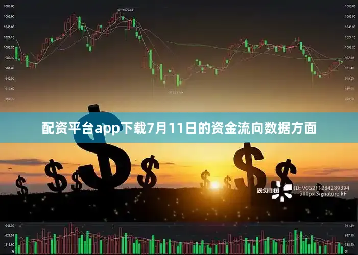 配资平台app下载7月11日的资金流向数据方面
