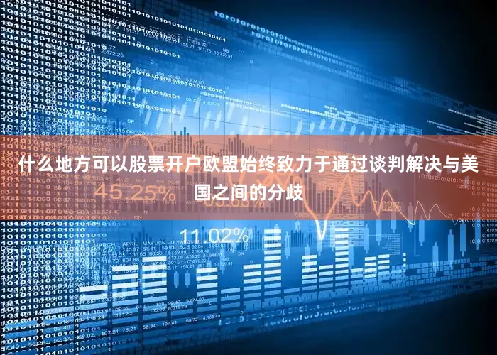 什么地方可以股票开户欧盟始终致力于通过谈判解决与美国之间的分歧